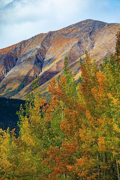 Richardson Highway-Alaska-autumn color-birch-aspens-mountains-Permafrost